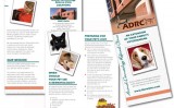 Veterinary Brochure Design: Dermatology