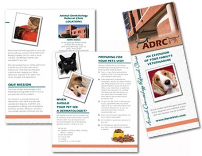 Veterinary Brochure Design: Dermatology