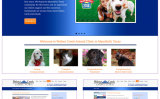 Veterinarian Website Mansfield TX